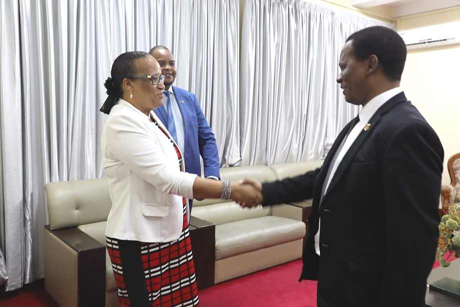 Permanent Secretary of Foreign Affairs Meets with the Ambassador of Namibia to Tanzania