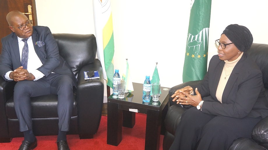 Namibia High Commissioner Visits the African Court